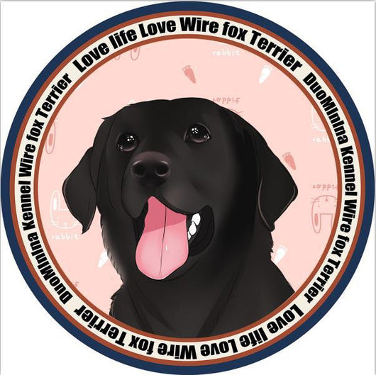 Colchoneta Ortopédica para Perros - Image 24