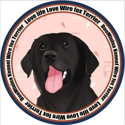 Colchoneta Ortopédica para Perros - Image 24