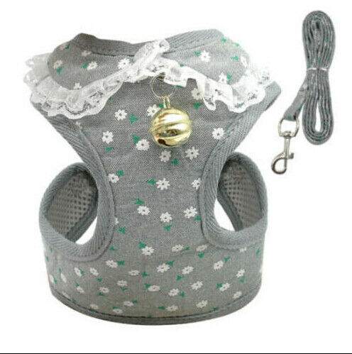 Chaleco Transpirable para Perros - Diseño Cómodo y Elegante - Image 8