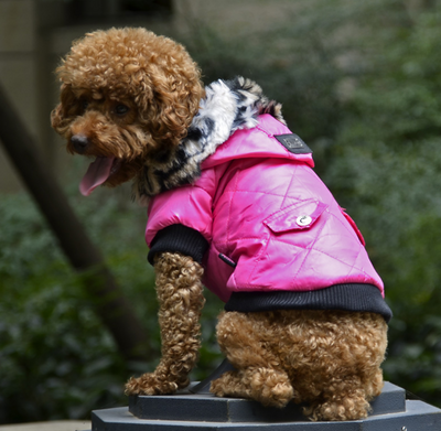 Abrigo para Perros Otoño-Invierno con Cuello de Piel - Ropa Térmica Importada - Image 4