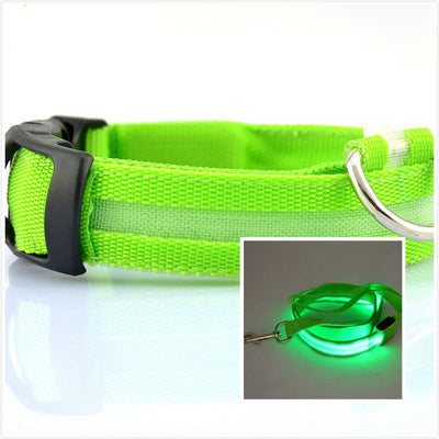 Collar LED Luminoso para Perros - Image 3