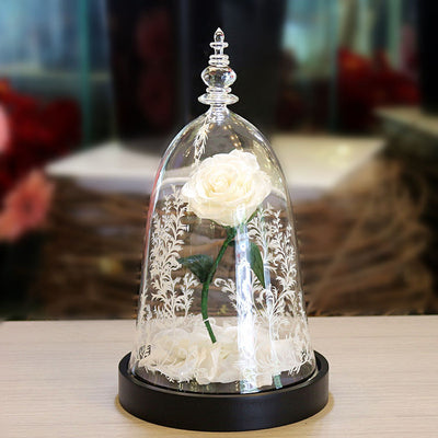 Rosa Preservada en Campana de Cristal - Regalo Creativo Eterno - Image 9
