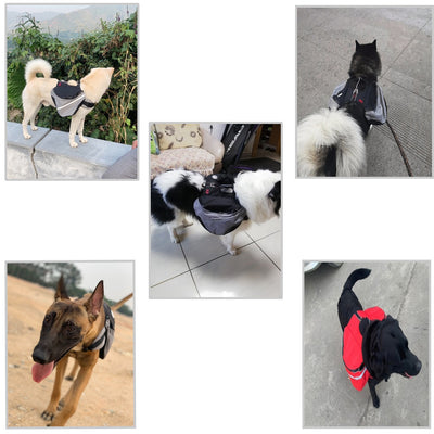 Mochila para Perros - Lleva a tu Mascota con Comodidad - Image 3