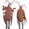 Disfraz de Cucaracha para Niños - Traje Completo Carnaval y Teatro