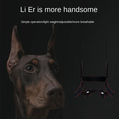 Corrector de Orejas para Perros - Dispositivo de Fijación Estético - Image 7