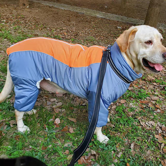 Abrigo de Algodón para Perros Golden Retriever y Razas Medianas - Image 8