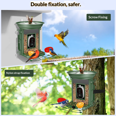 Comedero Inteligente para Aves con Energía Solar e IA - Image 9