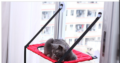 Hamaca de Ventana para Gatos Asiento de Descanso y Cama para Gatos de Interior - Image 10