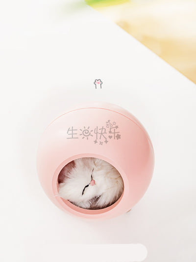Pink spherical sleeping light with a sleeping cat design, wooden legs, and soft glow, displayed with gift packaging. - Image 7