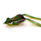 Dark green - 15G