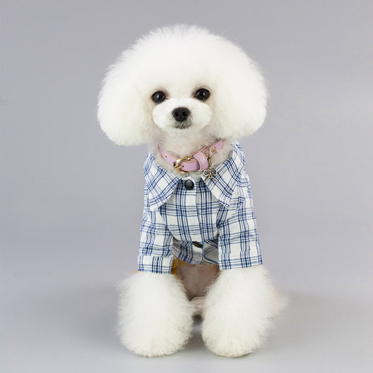 Ropa de Primavera y Verano para Perros - Image 17