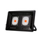 150 W 110 V US