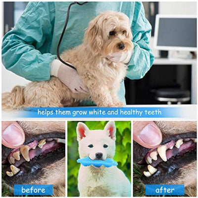 Juguetes de Dentición para Cachorros - Limpieza 360° y Alivio del Dolor - Image 4