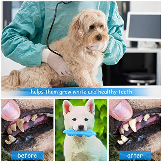 Juguetes de Dentición para Cachorros - Limpieza 360° y Alivio del Dolor - Image 4