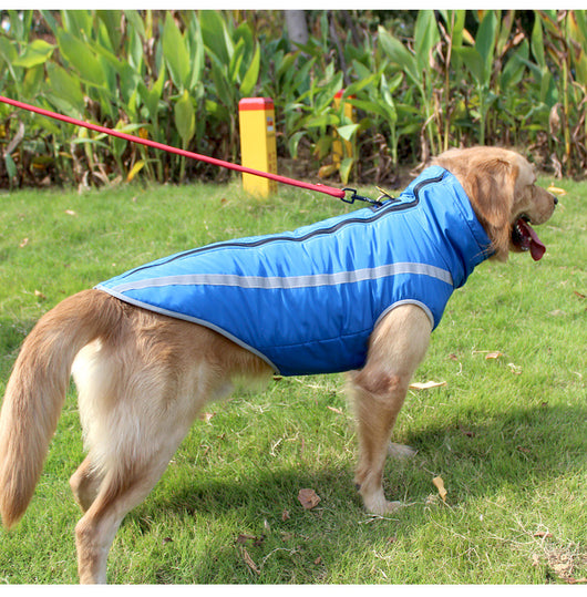 Abrigo Térmico para Perros Medianos y Grandes - Protección Invernal - Image 3