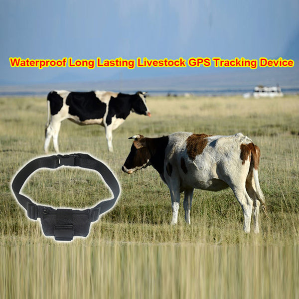 Localizador GPS Inalámbrico Anti-robo para Ganado, Ovejas y Caballos