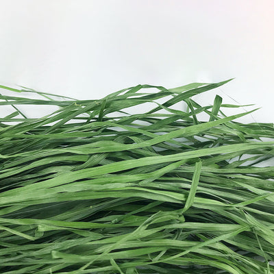 White box of Timothy grass pet food with cartoon rabbits, labeled as green, no pollution, high fiber, nutrition, and health, 1kg. - Image 7
