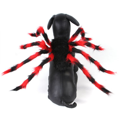 Disfraz de Araña Halloween para Mascotas - Gato y Perro - Image 17