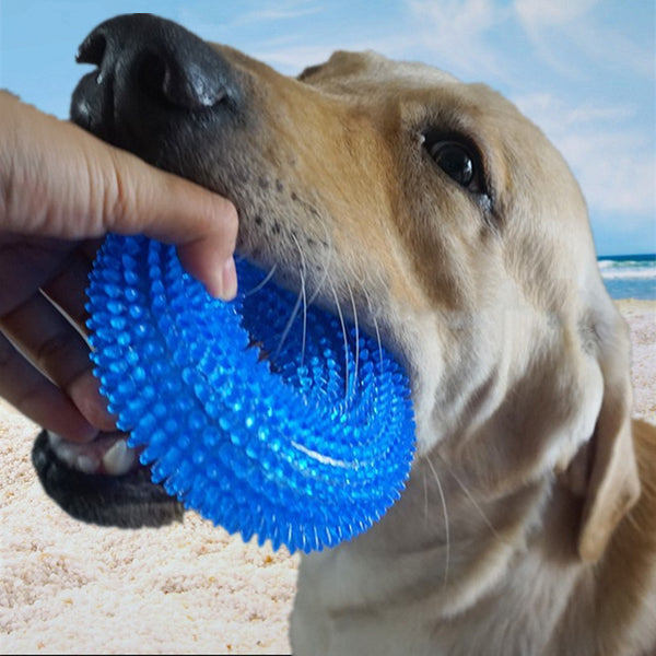 Translucent blue spiky donut-shaped pet toy made of TPR, designed to be bite-resistant and produce sound.