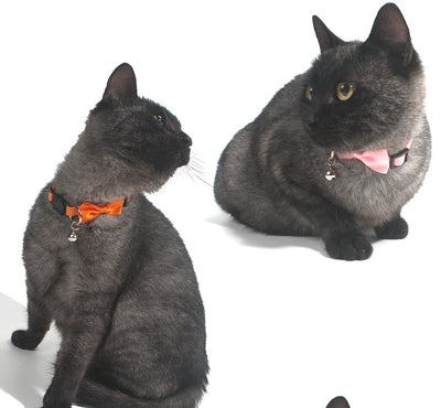 Collar Decorativo para Mascotas con Moño de Cinta Multicolor Ajustable y Campana - Image 17