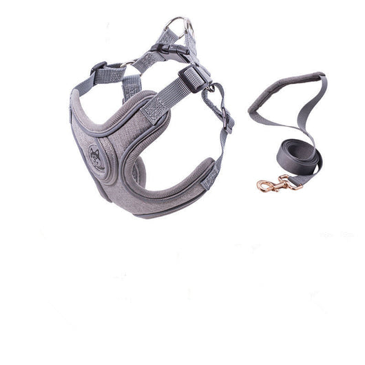 Correa de Tracción PET para Collar de Perros Pequeños y Medianos - Image 8