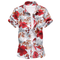 Camisa de Manga Corta para Hombre