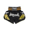 Pantalones Cortos de Entrenamiento Sanda