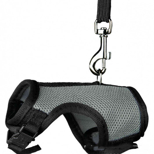 Correa de Seguridad para Mascotas Pequeñas - Image 2