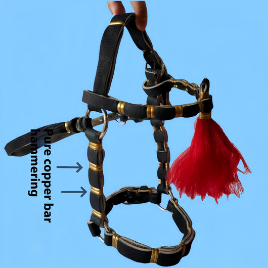 Accesorios de Transporte para Jaulas Equinas y Suministros de Turismo - Image 3