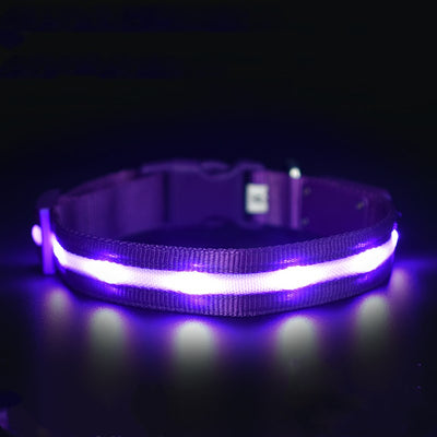 Collar Luminoso USB para Mascotas - Seguridad Nocturna Recargable - Image 6