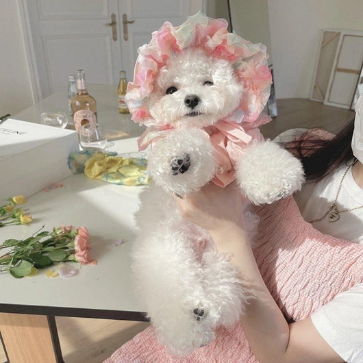 Falda de Malla para Bichón Frisé - Diseño Teddy - Image 14