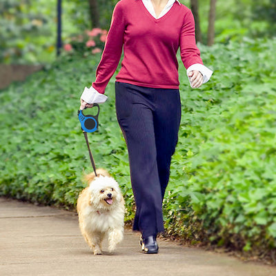 Correa Retráctil Automática para Perros - Set Completo de Tracción