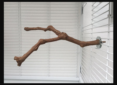 Natural grape wood bird perch with a unique curved branch shape and metal attachment for cage installation. - Image 11