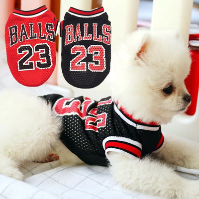 Chaleco Transpirable de Personalidad para Mascotas - Image 10