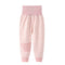 H 11 Rosa 66