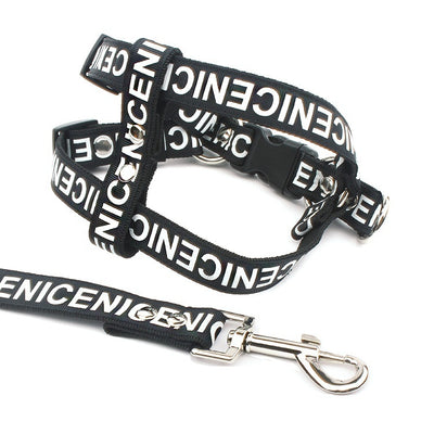 Collar de Tracción para Perros en Poliéster PET Resistente - Image 9