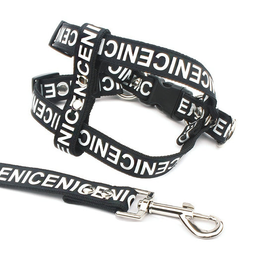 Collar de Tracción para Perros en Poliéster PET Resistente - Image 9