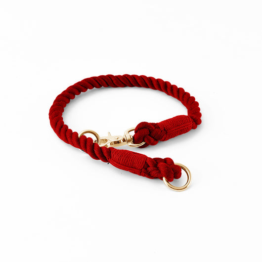 Collar Tipo P Ajustable para Perros Pequeños y Medianos - Image 21