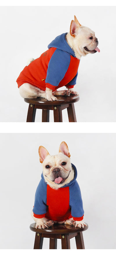 Ropa de Abrigo para Perros Pequeños y Medianos - Otoño e Invierno - Image 8