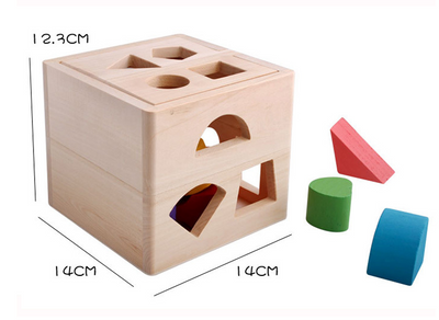 Caja de Inteligencia de 13 Compartimentos - Image 3