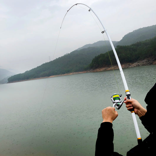 Caña de Pesca Telescópica para Carpa 2.1M-3.6M Fibra de Carbono FRP - Image 4