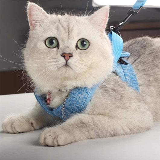 Arnés Respirable para Gato con Correa de Tracción Ligera - Image 7
