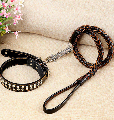 Collar de Tracción con Cadena de Cuero Antiexplosión - Image 14