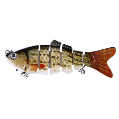 Peces Carnada Premium - Image 12