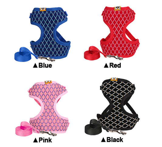 Correa Universal para Perros y Gatos