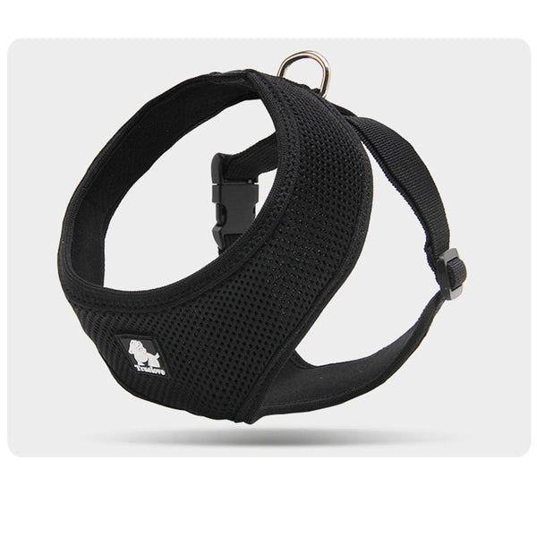 Correa de Paseo Resistente para Perros Pequeños