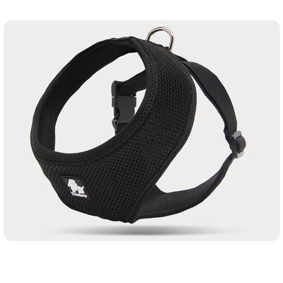 Correa de Paseo Resistente para Perros Pequeños - Image 2