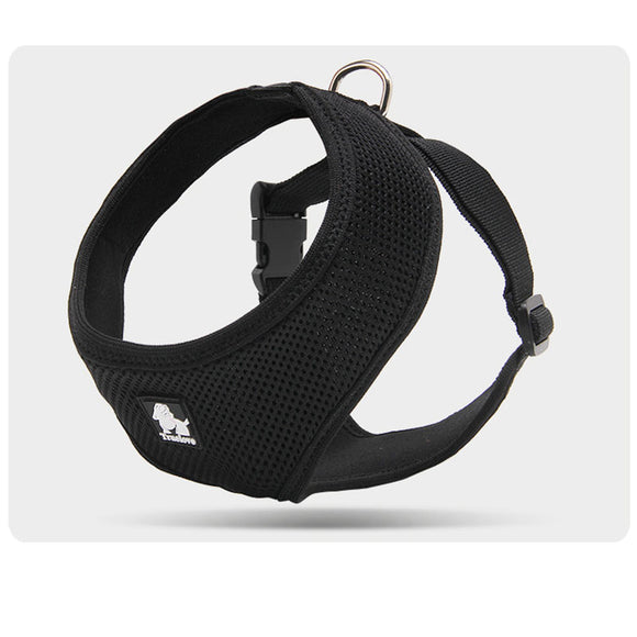 Correa de Paseo Resistente para Perros Pequeños