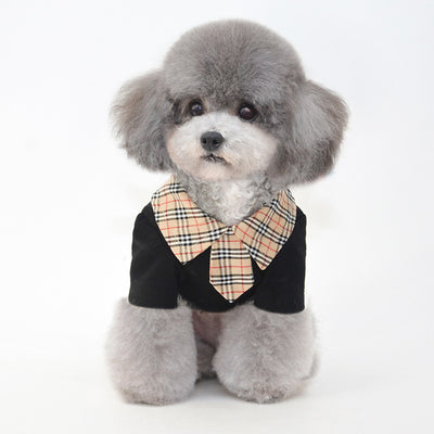 Ropa Fresca para Perros Pequeños - Diseño Ligero para Verano - Image 7