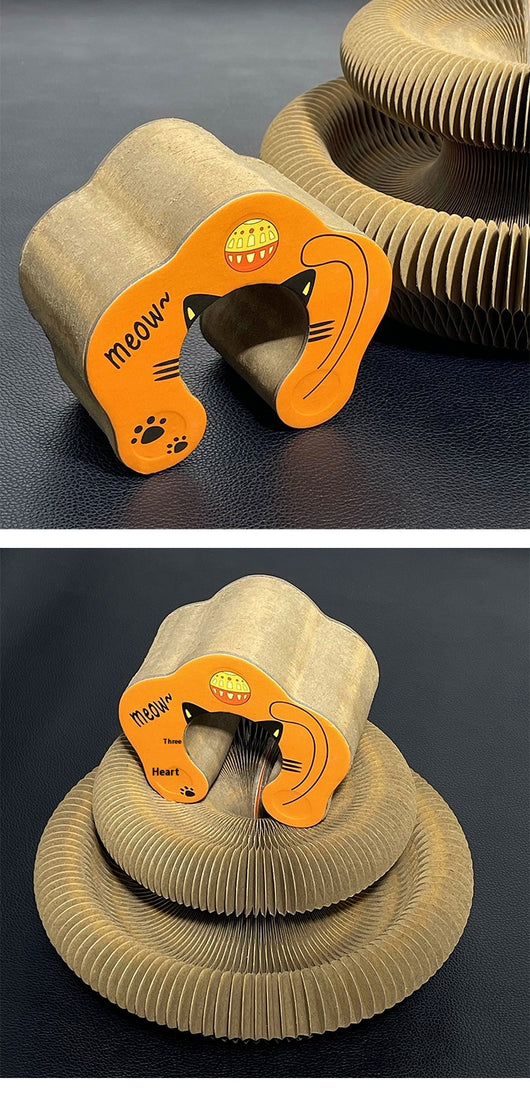 Rascador Plegable para Gatos con Pelota Magnética y Tablero Intercambiable - Image 12